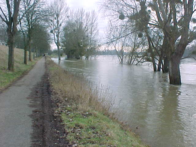 524 - LE FLEUVE EST HAUT ET COULE VITE.jpg